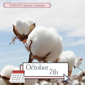 Cotton Day 